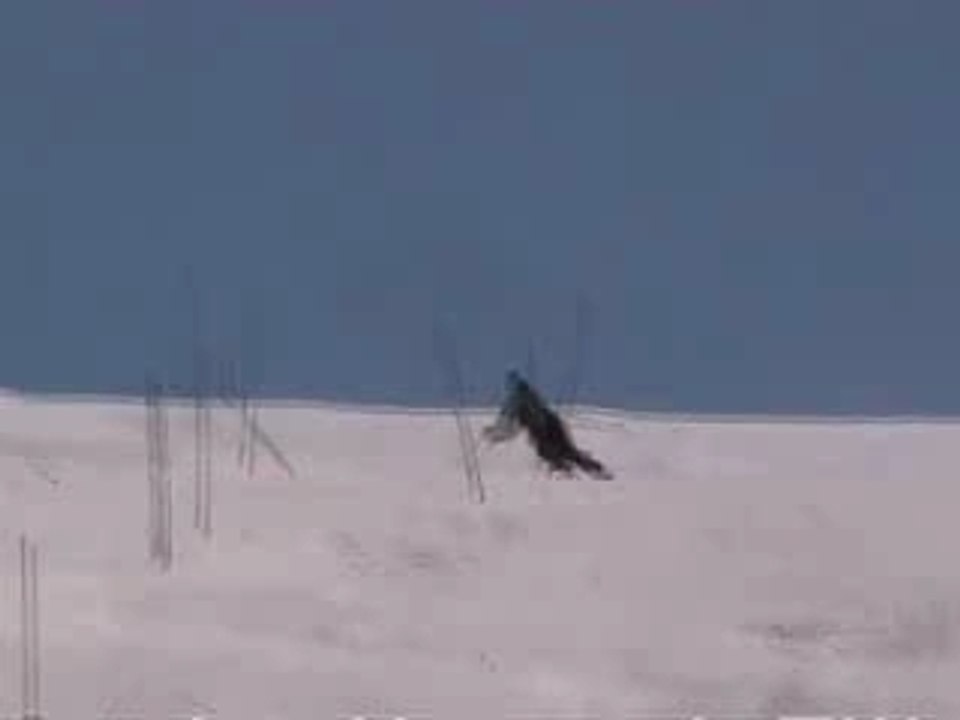Valentin le 18/03 à 10h58