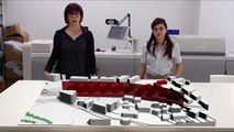 Tesi di laurea magistrale architettura Via Longo Teramo Leodori Valentina Nori Cristina