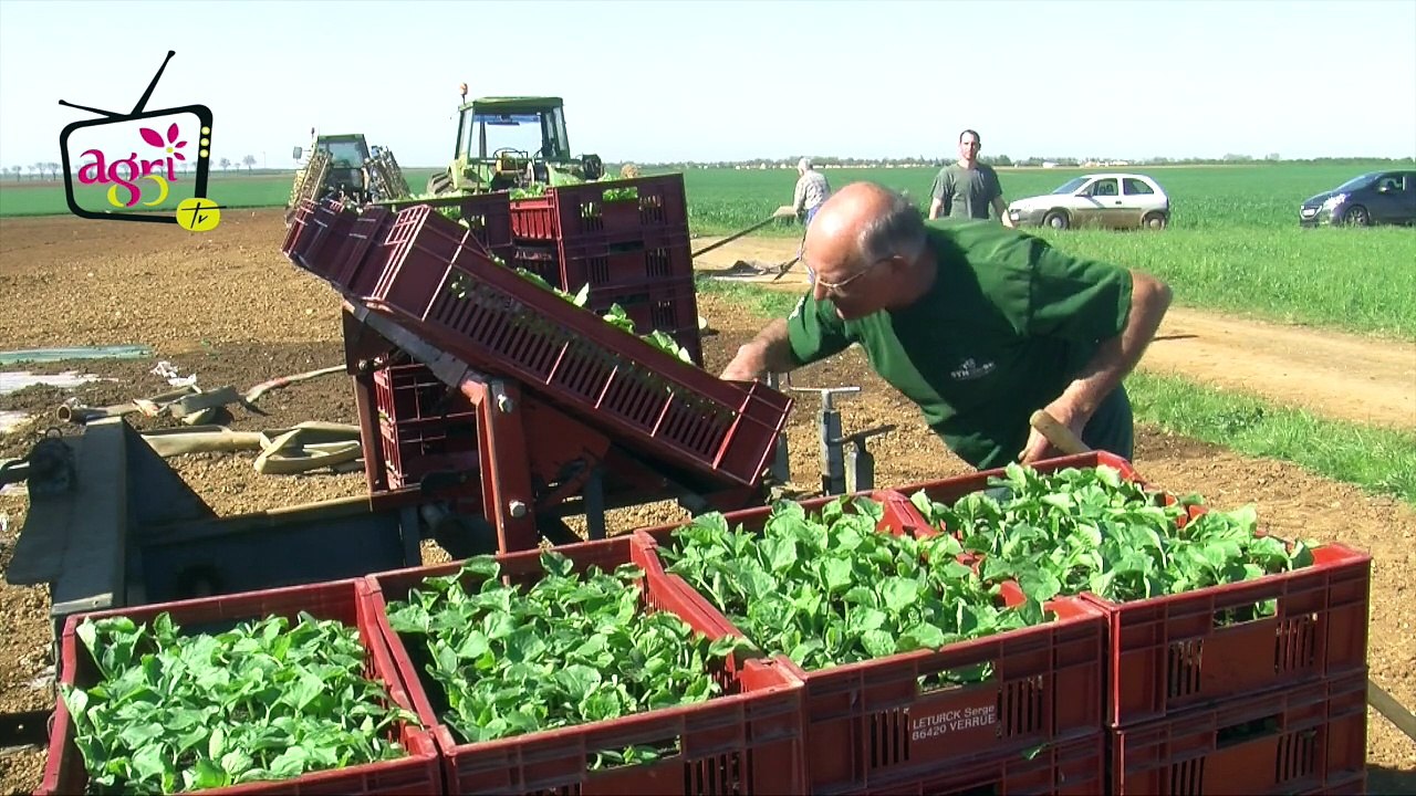 JT agri85 du vendredi 17 avril 2015