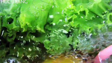 Sửa chữa máy ozone M04 giá rẻ - 097.2222.958