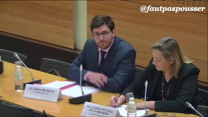 Commission d enquête Maintient de l'ordre (Assemblée Nat) Audition Ludo et Alban LaManifPourTous (partie 3)