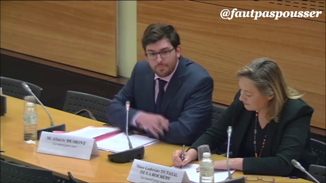 Commission d enquête Maintient de l'ordre (Assemblée Nat) Audition Ludo et Alban LaManifPourTous (partie 3)