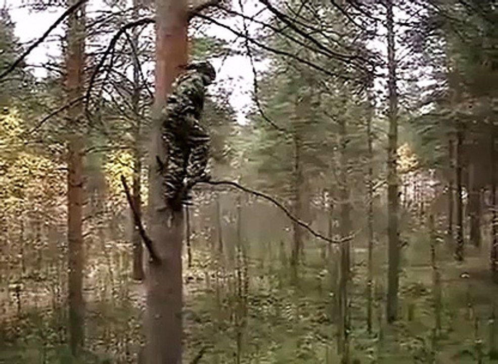 saut toile