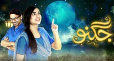 Jugnoo New Drama Promos on Hum Tv