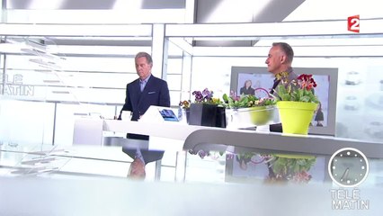 Spéciale Primevères