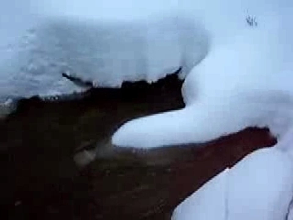 Yamaska