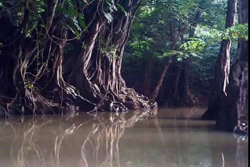 Waist Deep In The Big Muddy