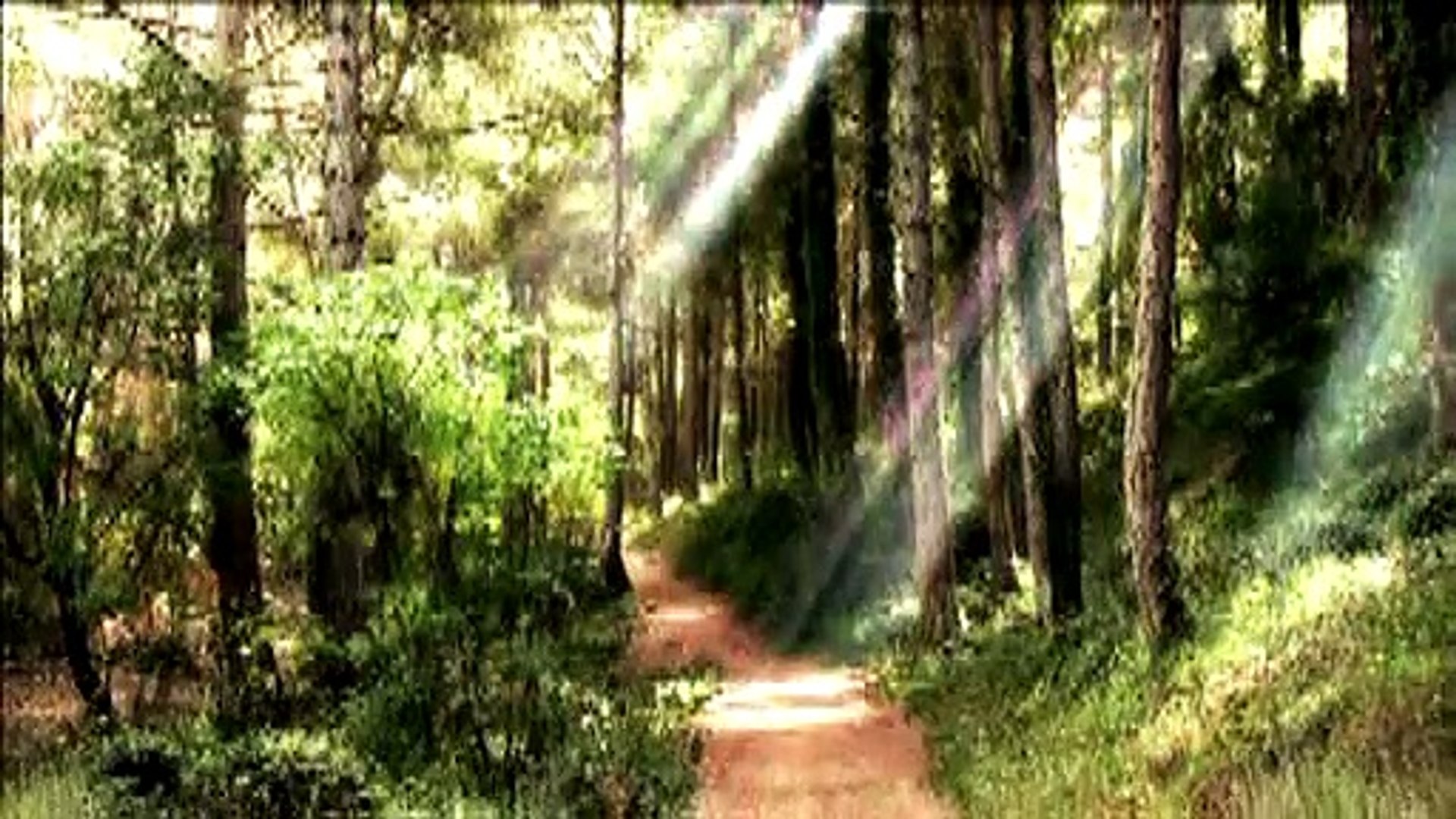 Relaxing Music | New Age Music | meditation Music | Spa Music