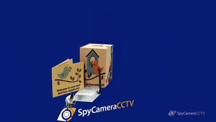 Nest Bird Box Camera