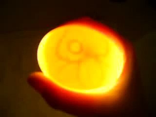 Candling Duck Egg Day 6