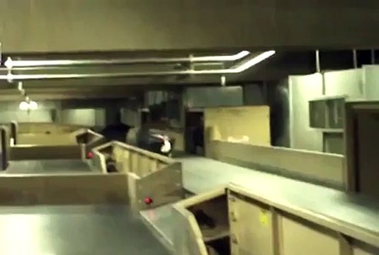 Voici Pourquoi il ne faut JAMAIS mettre d'Objets Fragiles dans vos Valises