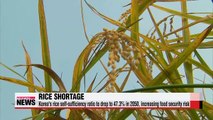 Global warming will cause Korean rice shortage in 2050