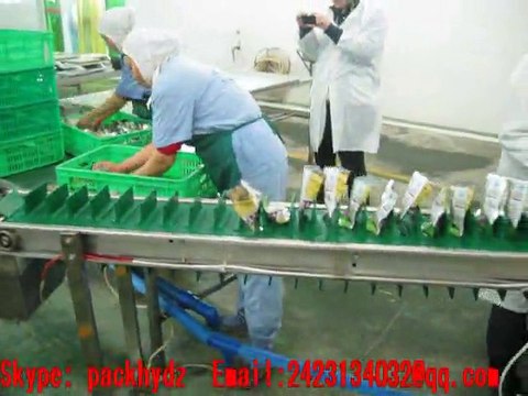 Bags automatic quantitative granule filling and sealing machine for mustard tuber 2423134032@qq.com