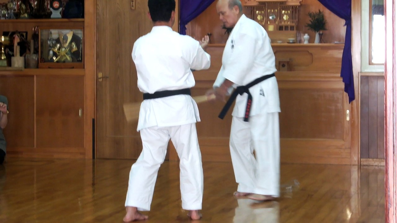 pratiques Karate - UECHI RYU
