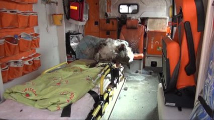 Panzere Atılan Molotof Ambulansı Yaktı