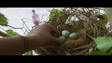 kaaka muttai official theatrical trailer Dhanush _ Vetri Maaran _ Fox Star