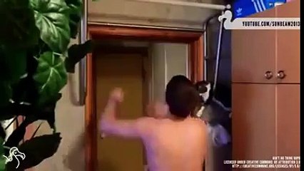 Quand mon chat me check en mode Gangsta !