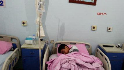 Nusaybin'de Kenenin Isırdığı Çocuk Tedaviye Alındı