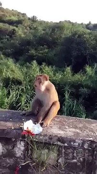 VID-20150414-WA0004.mp4