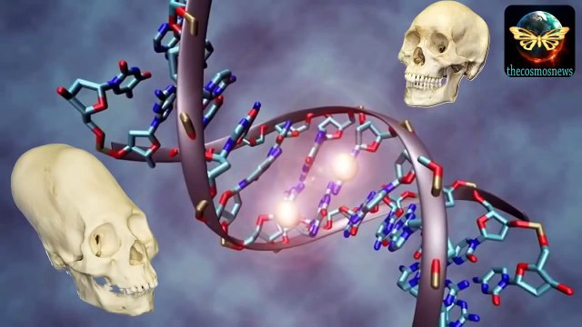 New DNA Analysis of Paracas Elongated Skulls is Shocking:They Were Not Human