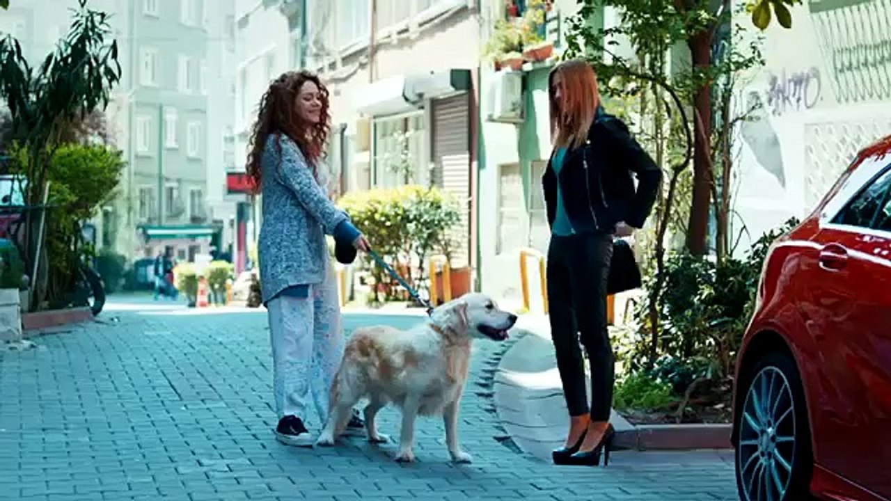 Acil Ak Aranyor 6 Blm Fragman izle