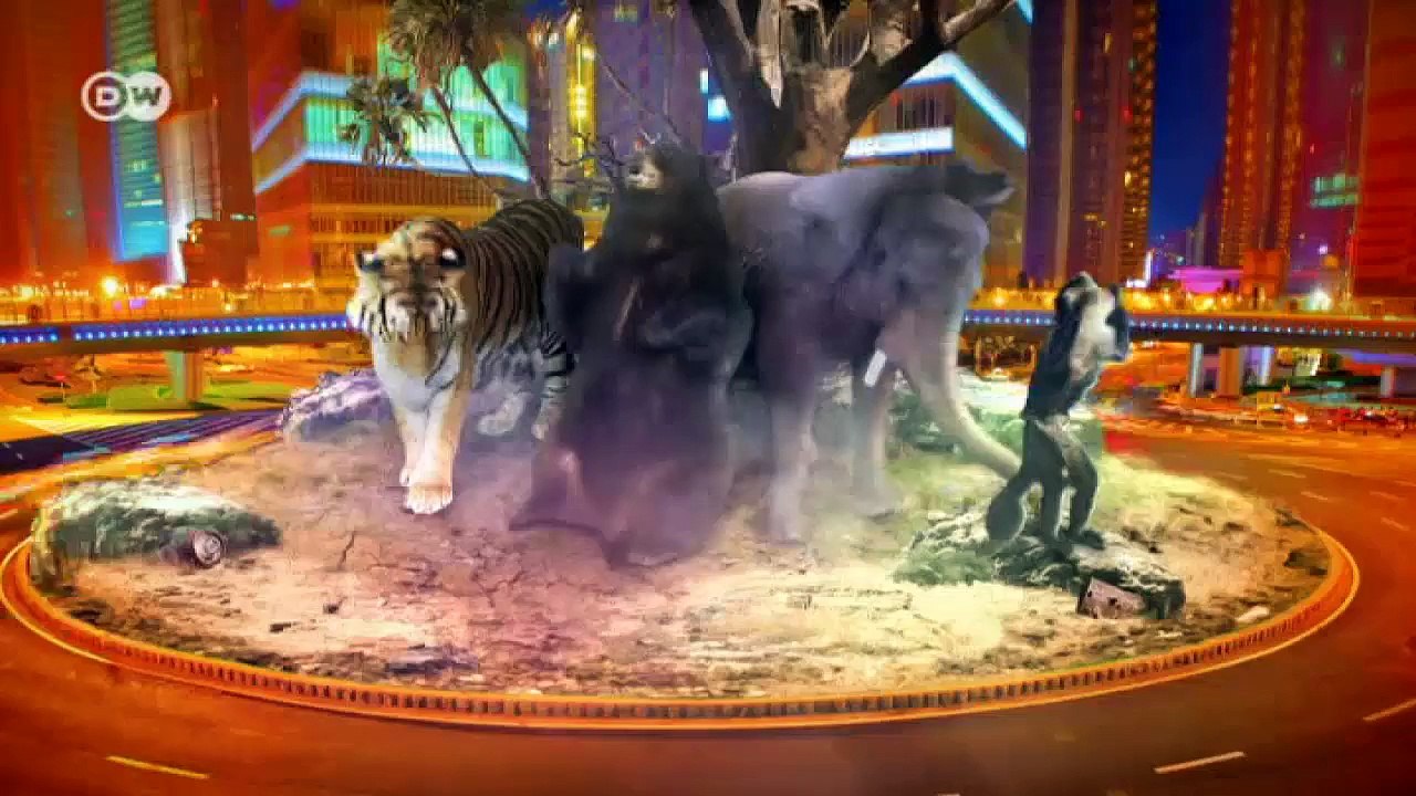 En el ojo del tigre |