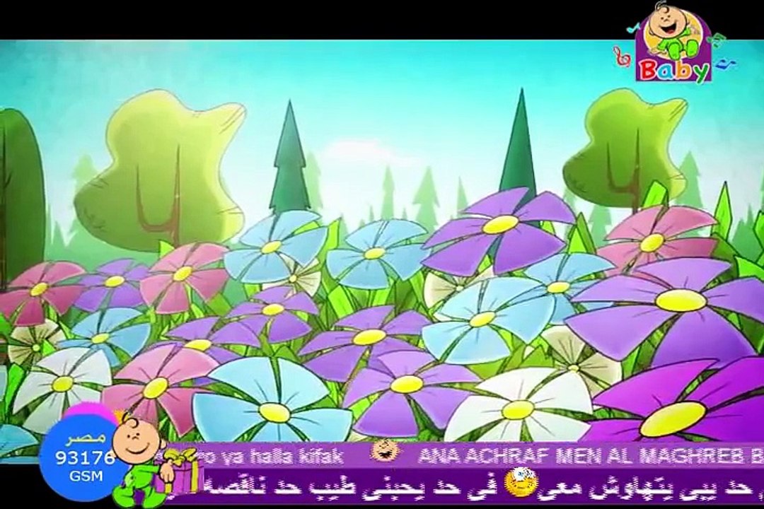 HD TOYOR Al Janna BABY HD