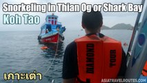 Snorkeling in Thian Og or Shark Bay in Koh Tao