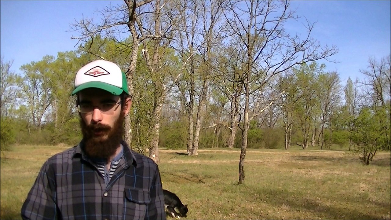 Educateur canin sur Lyon - Enzo Caramanna Education Canine