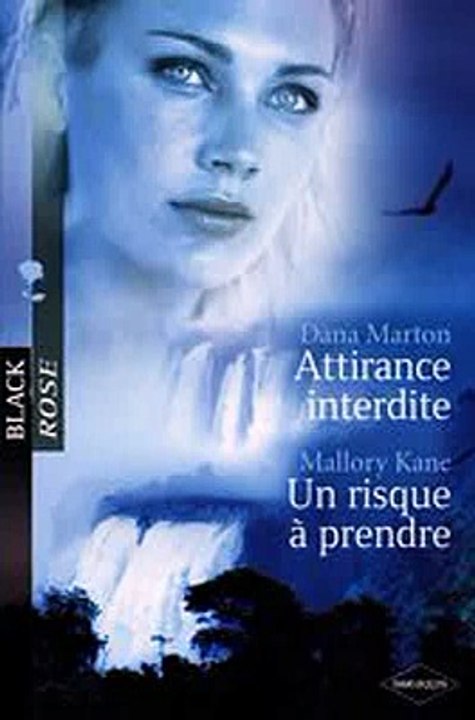 Download Attirance interdite - Un risque à prendre Harlequin Black Rose Ebook {EPUB} {PDF} FB2