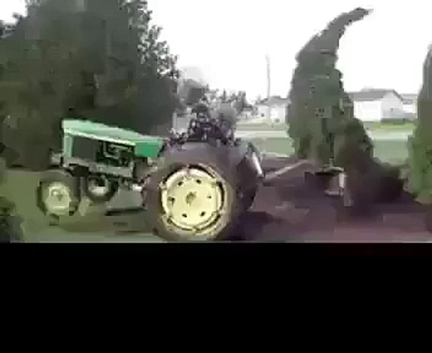 video of the day
