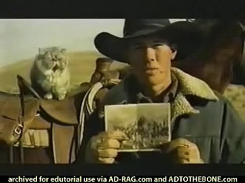 Herding Cats Super Bowl Sunday Super Bowl Ad NFL