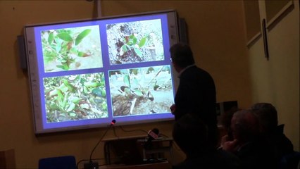 Xylella fastidiosa- relazione prof. Franco Nigro 1° apr 2015-sala consiliare della città di Torre S. Susanna