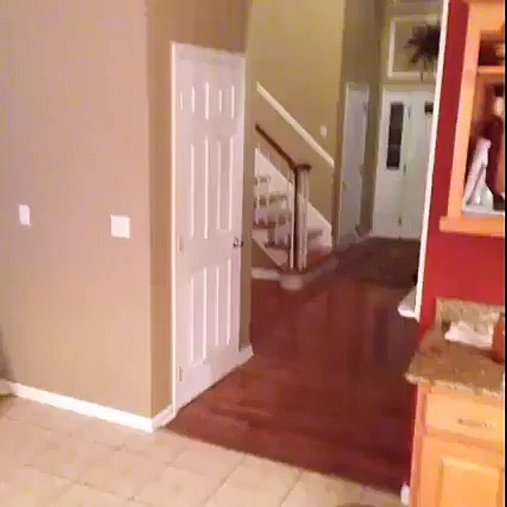funny kids