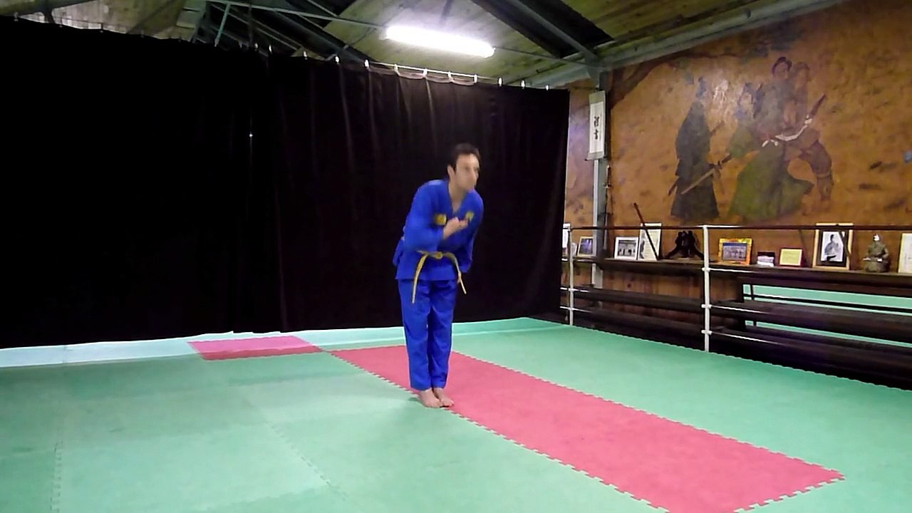 Vovinam: Bài Song  Đấm - Double Punches Form - Leçon des Doubles coups de poing.