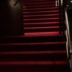 Anita entrada triunfal