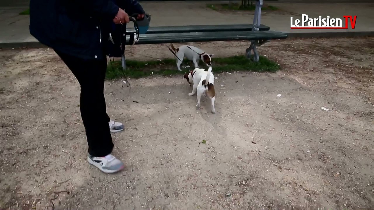 Mégots par terre et crottes de chiens à Paris : que pensez-vous du doublement de l'amende ?