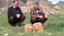 Hakkari - Kaçak Avlanan Keklikleri Doğaya Bıraktılar