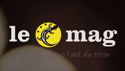 Le mag #3 - le Triton - Du 5 au 27 mars 2015