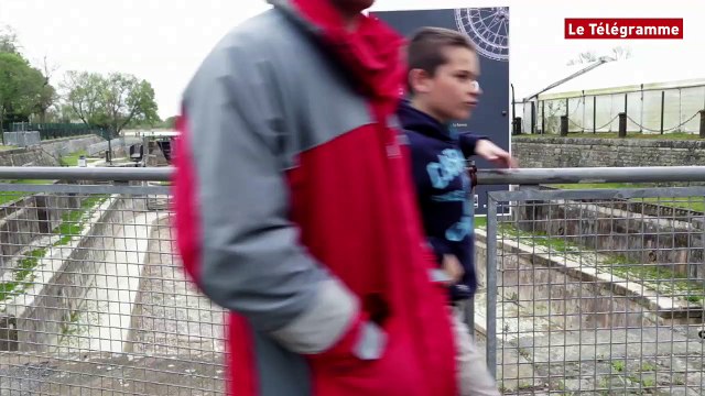 Hermione. Le jour du grand départ arrive