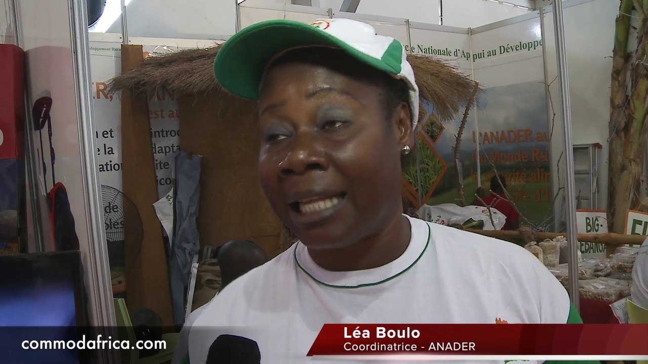 SARA 2015 : Comment améliorer le secteur agricole ?