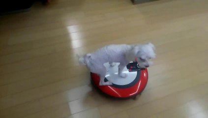 Контроль читоты !!!