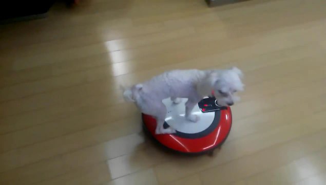 Контроль читоты !!!