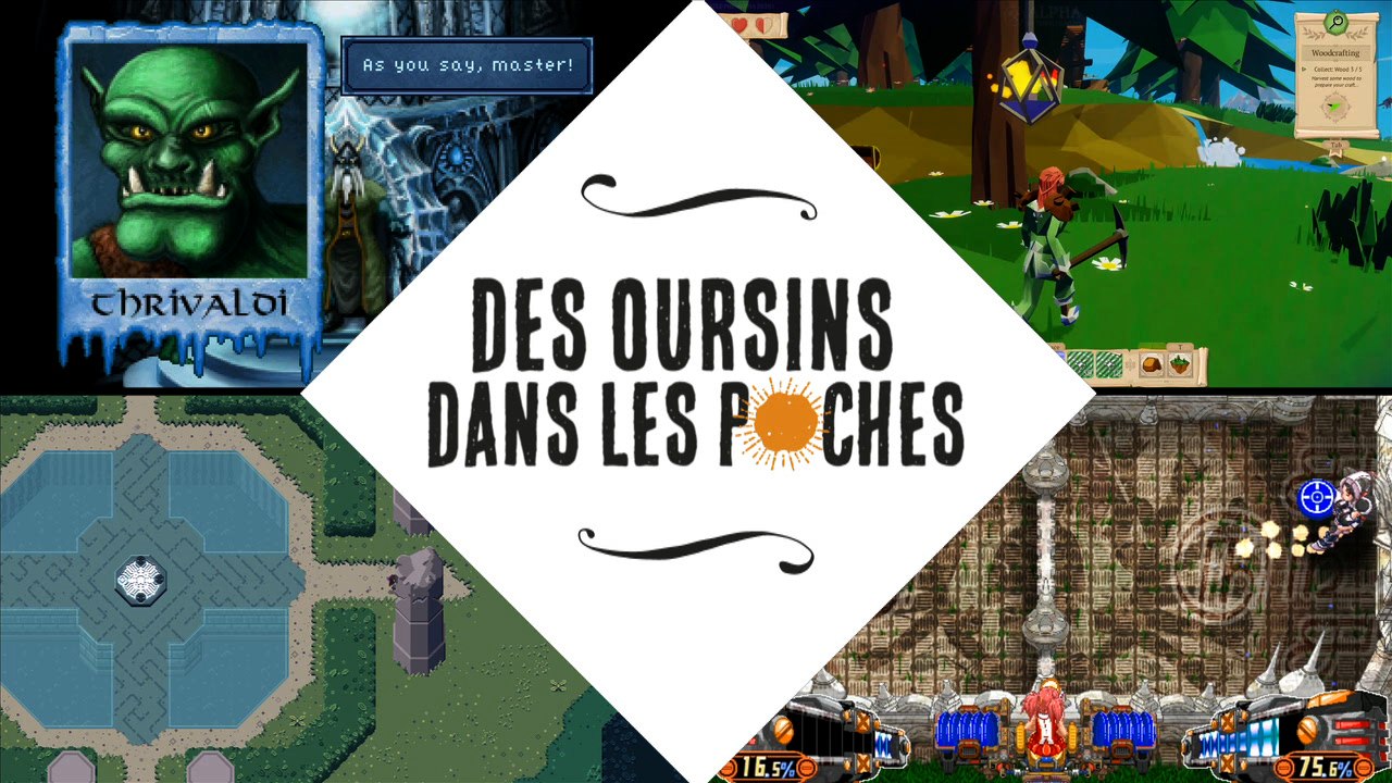 Des Oursins dans les Poches #6 (avril 2015)