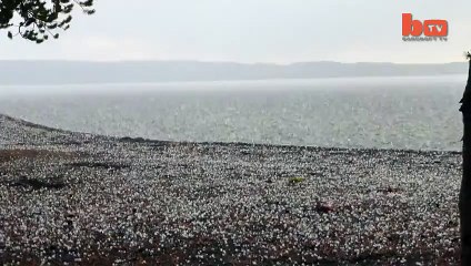 OMG! Horrible Lightning Hitting Seashore