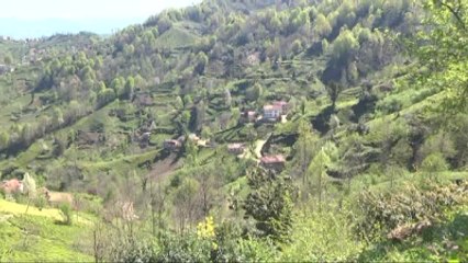 Karadenizli Aile, Seçim Tahminini Çatıya Yazdı