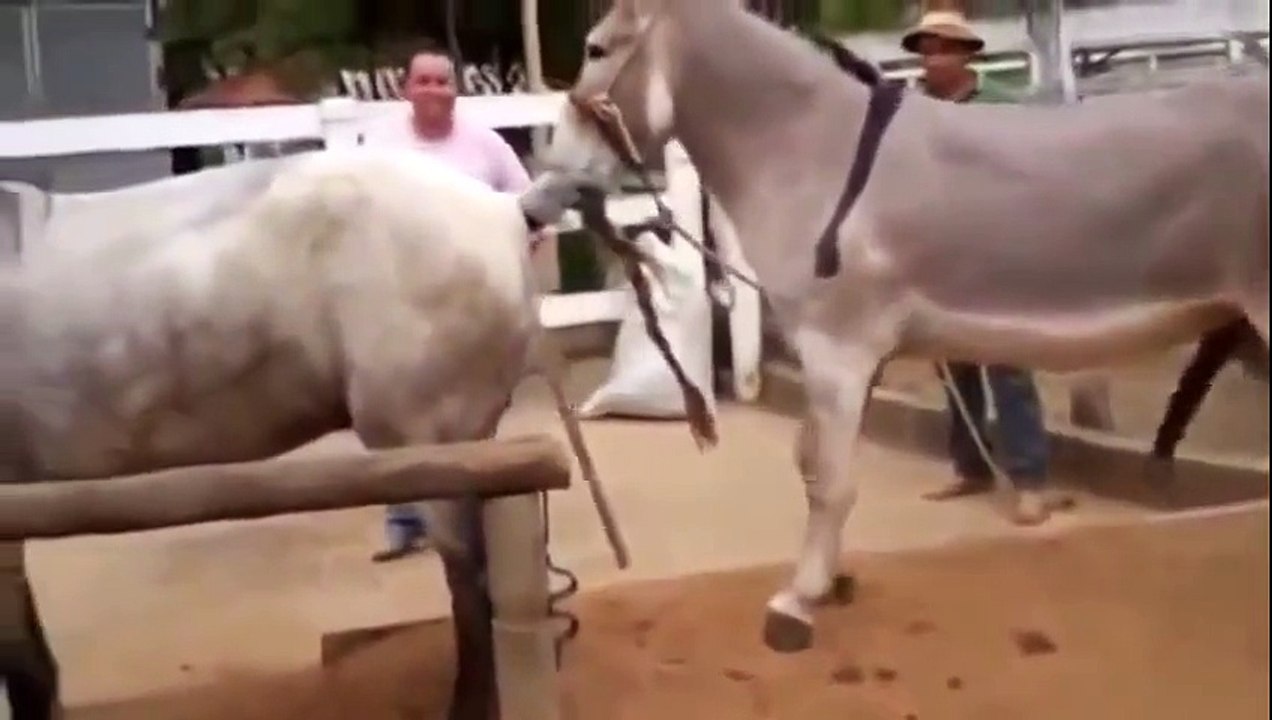 Laughs For Gags Best Top Funny Pranks Amazing!! 2014 HD