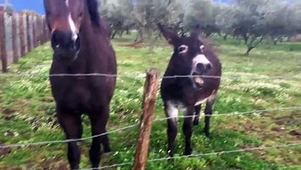 BARBARADURSO.COM - Io, i miei amici e la natura!!! Questo video fa troppo ridere…