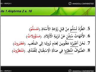 ara1002 AB Ara Sınav Hazırlık 2014-2015 Arapça-2 Ahmet Bostancı Hocanın e-Seminer Dersi