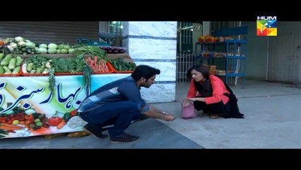 Jugnoo Episode 1 - 17 April 2015 - Hum Tv